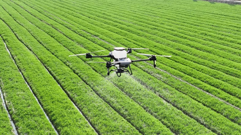 Generation Drone