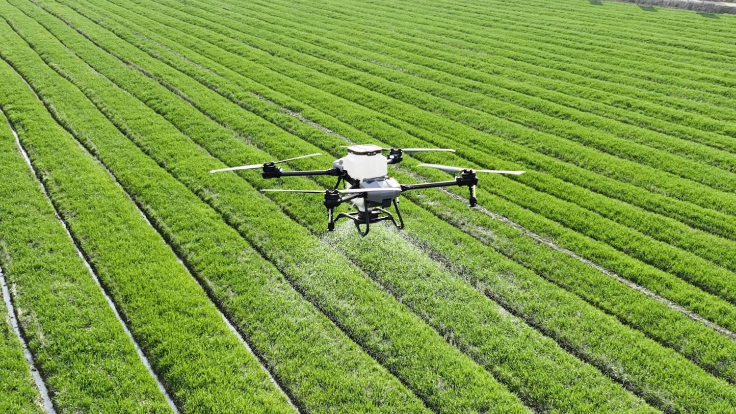 Generation Drone