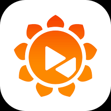 Explore how Sunflower Remote Operation can improve remote office and technical support efficiency