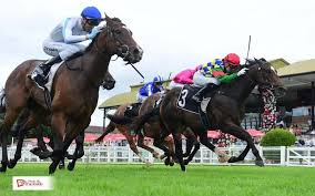 Racehorse Ownership Opportunities Bring Elite Sporting Thrills To Passionate Racing Enthusiasts